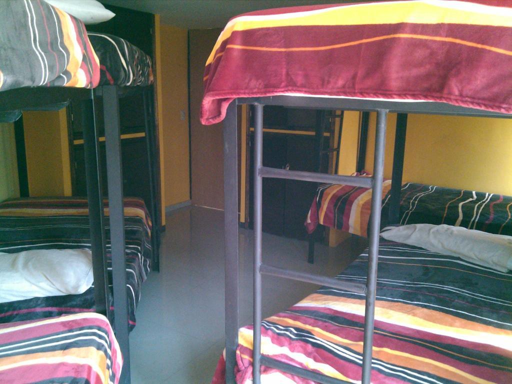 Hostel 399 Conejos Y Yo Kota Meksiko Ruang foto